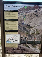 Dinosaur national park (10).JPG